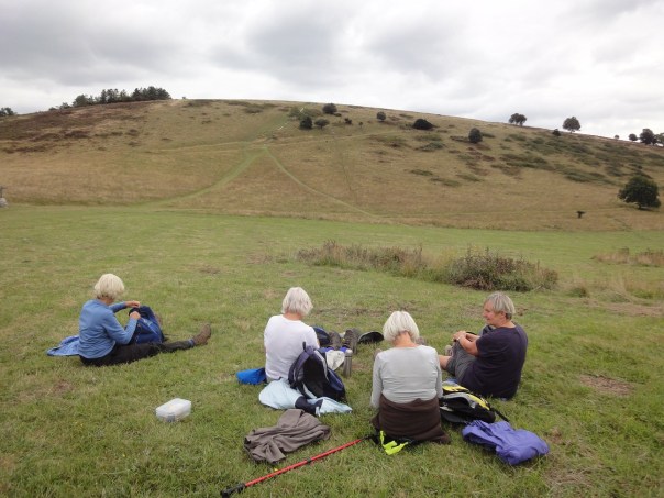 Lunch stop before Beacon Hill.  The SDW goes round it to the right or you can go over the top. Click to enlarge