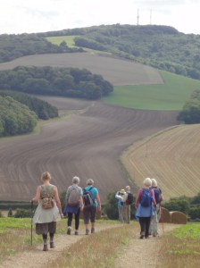Descending Littlton Down before climbing up again to Bignor Hill - click to enlarge