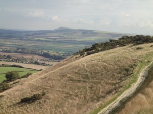 Firle Beacon beyond Ouse Valley