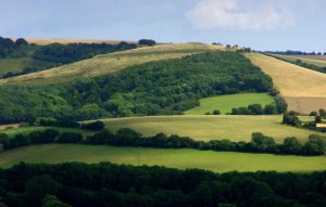 Old Winchester Hill Fort -click to enlarge